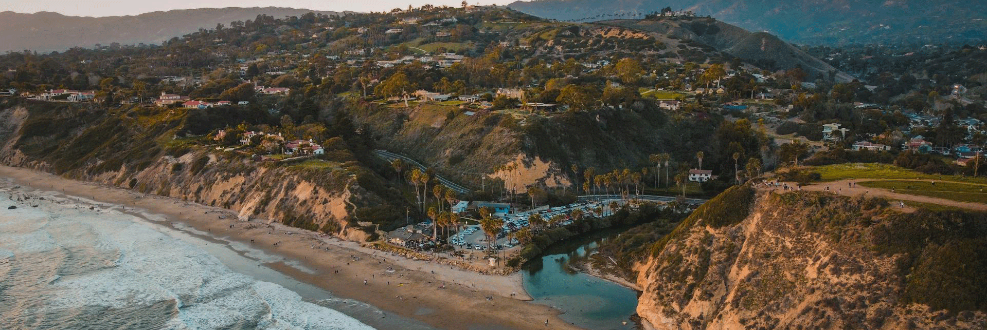 Local Insight background